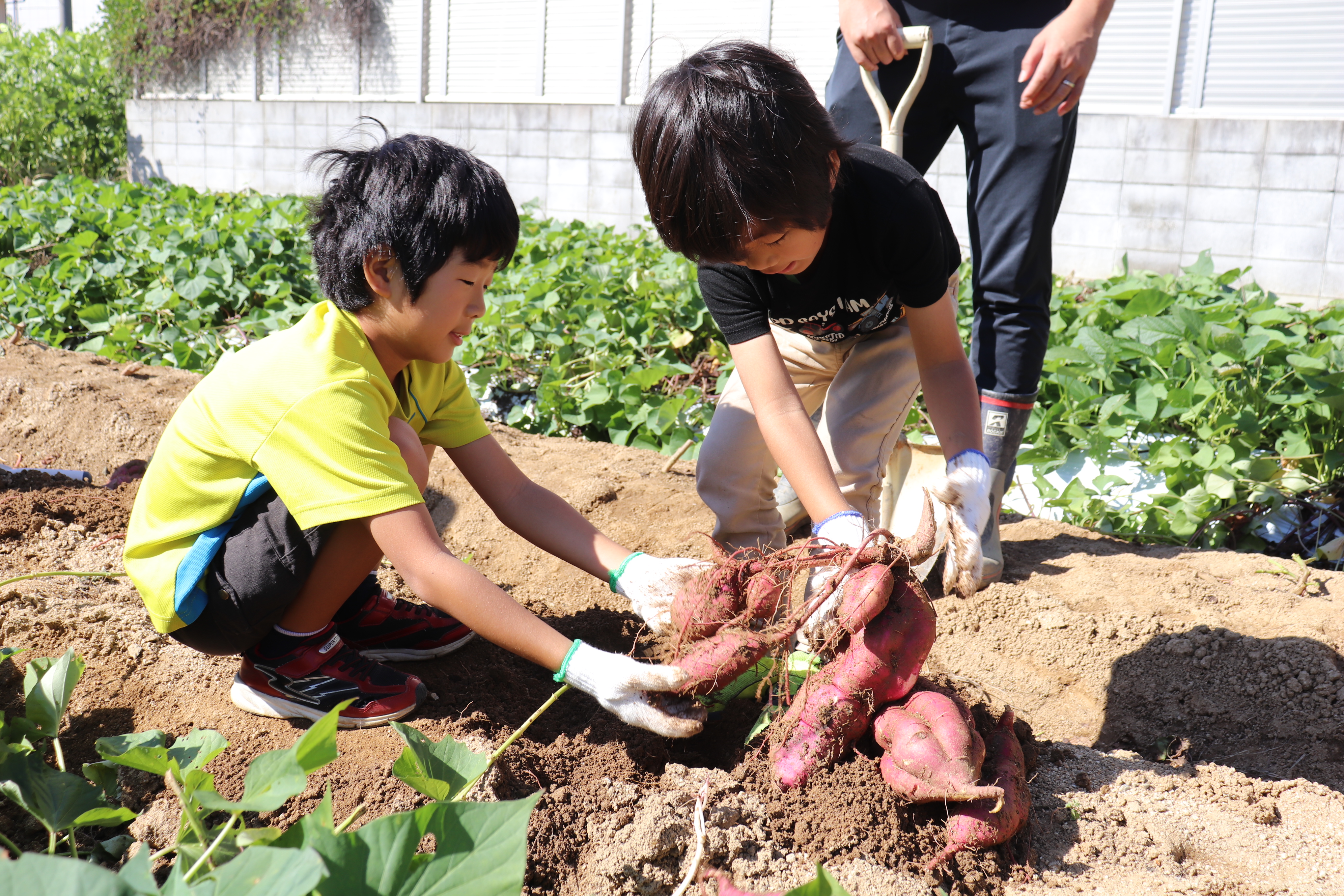 ●IMG_4102.JPG