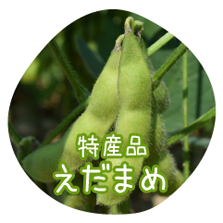 特産品えだまめ