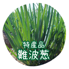 特産品難波葱