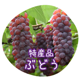 特産品ぶどう