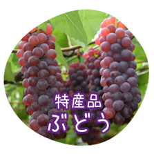 特産品ぶどう