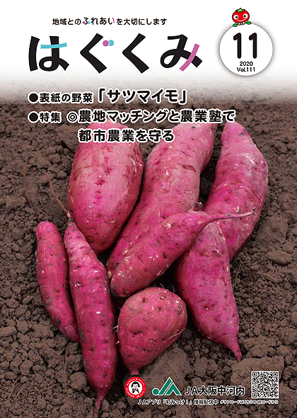 2020年11月号