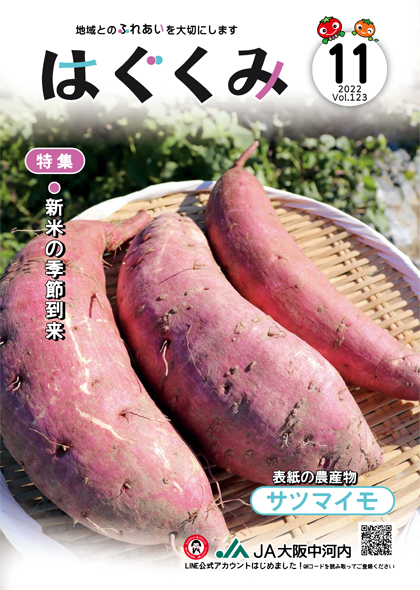 2022年11月号