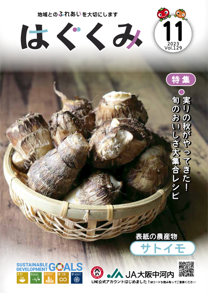 2023年11月号
