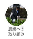 農業への取り組み