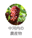 中河内の農産物